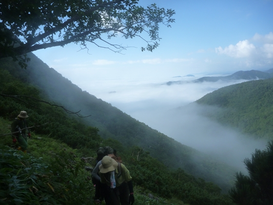 今日は環境省と合同で登山道の整備です