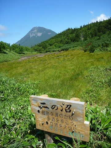 沼も潤ってるかな～と期待していましたが大して水位は上がっていませんでした