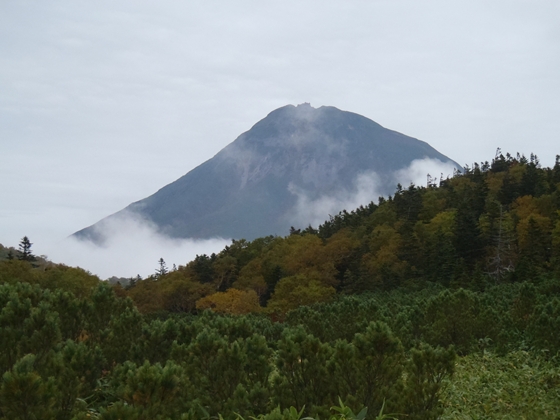 3の沼に来ました