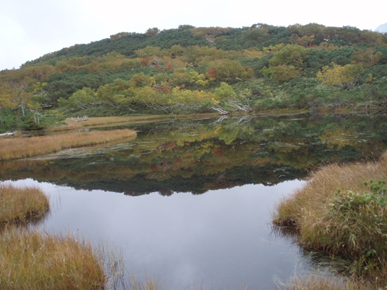 沼に写りこむ羅臼岳