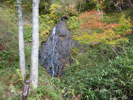 木隠れの滝付近の紅葉
