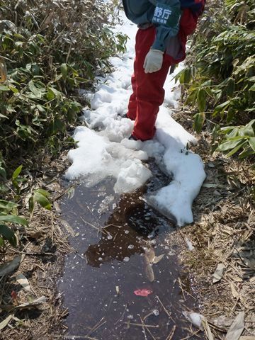 遊歩道及び散策路の一部では水溜りの多い箇所が多数あります