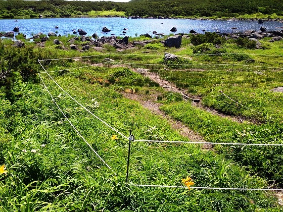 この二ツ池周辺の歩道は、水はけが悪く雨が降ると川のようになってしまうところです。