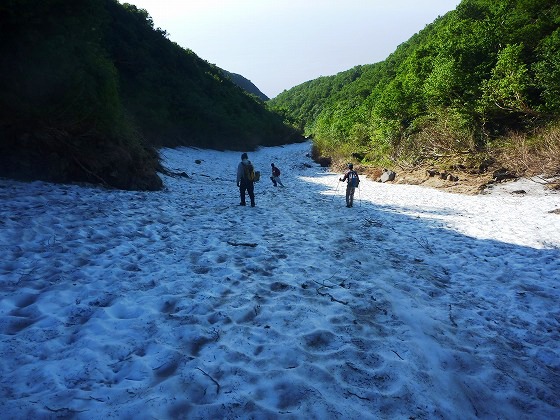 硫黄山下りの硫黄沢は半分が雪渓として残っており、最後の雪渓歩きを転ばないように下っていきます