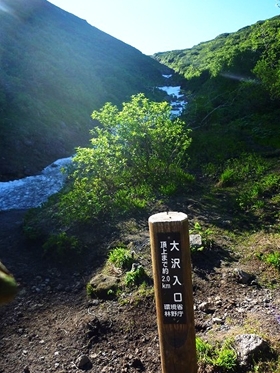 大沢入口まで来ました。今年は、この時期でも大量の雪が残っています。