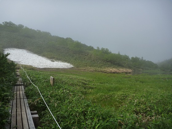 雪田群落と呼ばれる雪が吹き溜まる場所