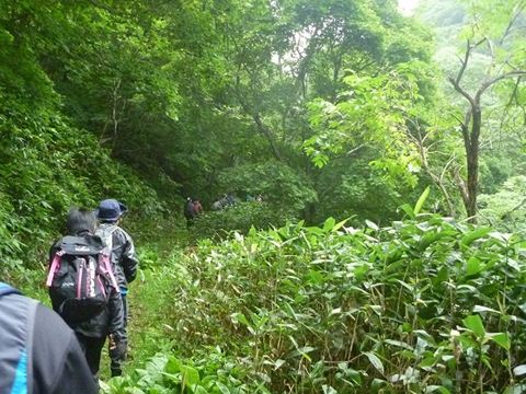 登山ポスト