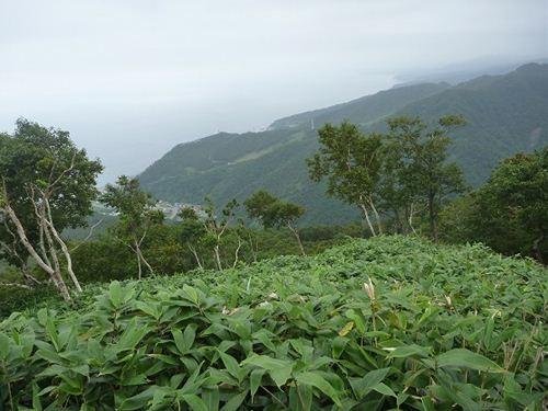 山頂からの羅臼市街