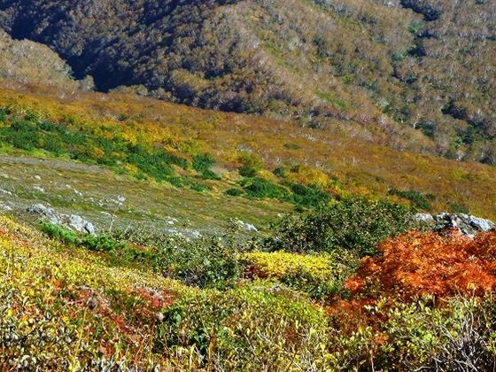 色鮮やかに染まった山肌