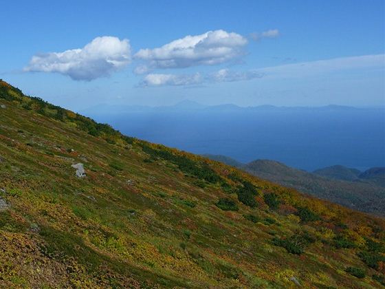 色鮮やかに染まった山肌