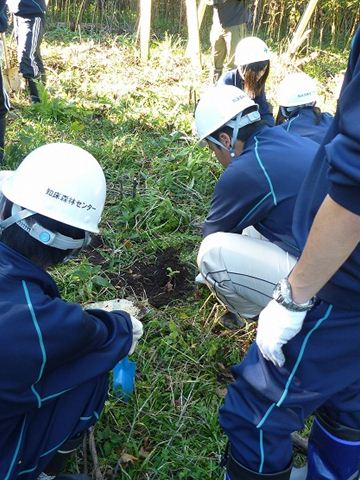 苗木の植樹