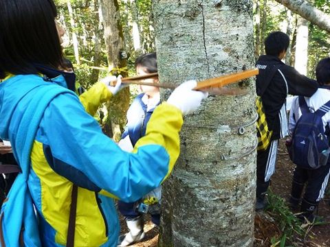 輪尺を使用して計測