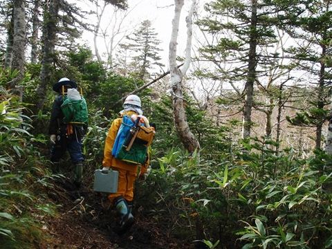 作業に向けて登山スタート