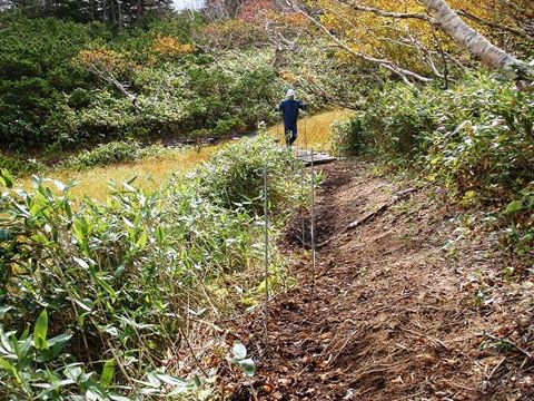 湿地内踏み込み禁止