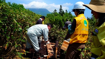 羅臼湖に向かう木道の補修等を行いました