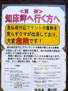 秋はヒグマの行動が活発になります。ご注意を!