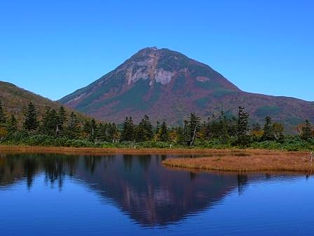 風の強い年は葉っぱが風で飛ばされて羅臼岳や羅臼湖の紅葉のピークは短いとのこと。