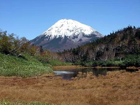 歩道からの晩秋の二の沼と三の沼周辺の風景です