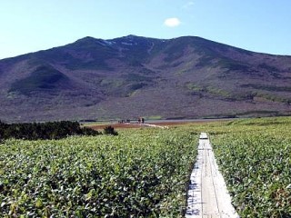 知西別岳も冠雪が見られました。