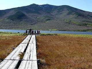 賑わう羅臼湖展望台の様子です。