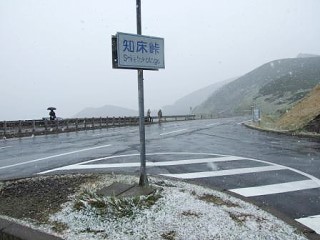 雪が降る中でも観光客の姿が見かけられます。1