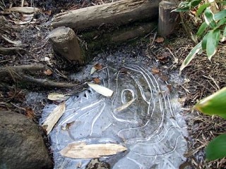 ぬかるみの多い歩道なので寒さのため凍ってしまった水溜りです。