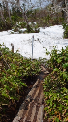 羅臼湖の入口はまだ積雪が残っています