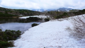 一の沼の歩道はまだ残雪の下です