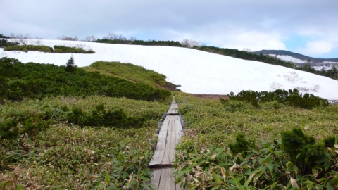 二の沼の歩道