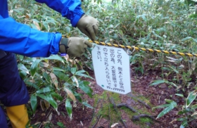 倒木が遊歩道をふさいでいるため立入禁止となっています