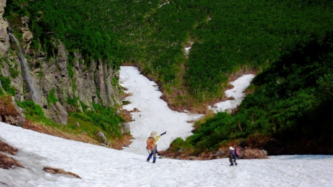 登山道はあちらです