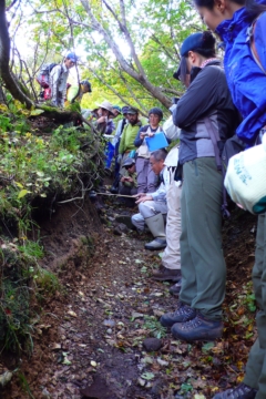 登山道修復の検証