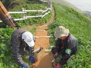 補修作業の様子です。マットを歩道に貼り付けていきます。