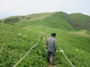 歩道を歩きやすくするために草刈りを実施しました。