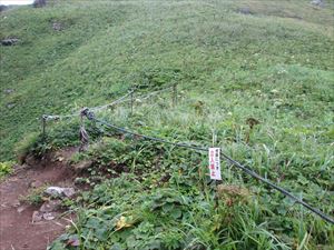 礼文滝に続く歩道の巡視