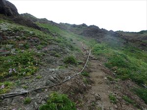 通称アナマ浜へ降りる道