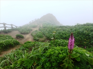 霧に包まれるゴロタ岬