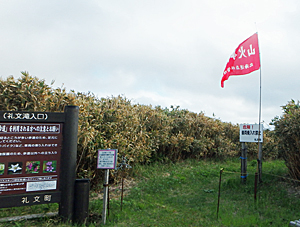 礼文滝コースの入り口