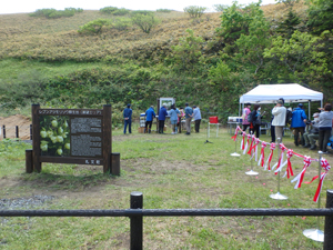 会場はレブンアツモリソウ群生地の新しい展望エリア