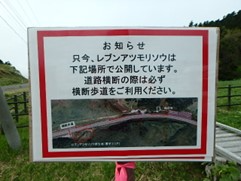 群生地駐車場に設置している案内板です