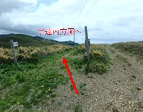 召国分岐