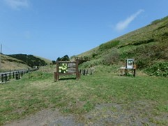 レブンアツモリソウ群生地テラス入口付近
