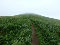 ゴロタ山山頂の様子