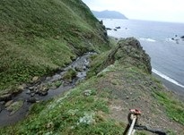 西海岸
