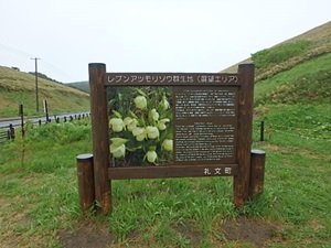 展望エリア内看板