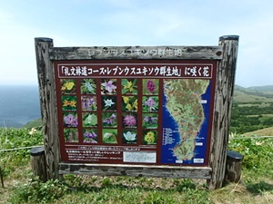 案内板