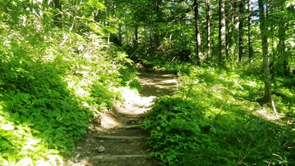 登山道