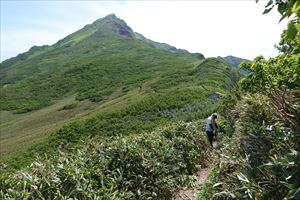 登山道を覆うササの刈払いも行いました。