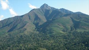 ポン山頂上からの利尻山と利尻島生物群集保護林