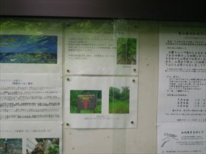 利尻島GSSブログは、下記の箇所に設置されている掲示板でもご覧いただけます。
